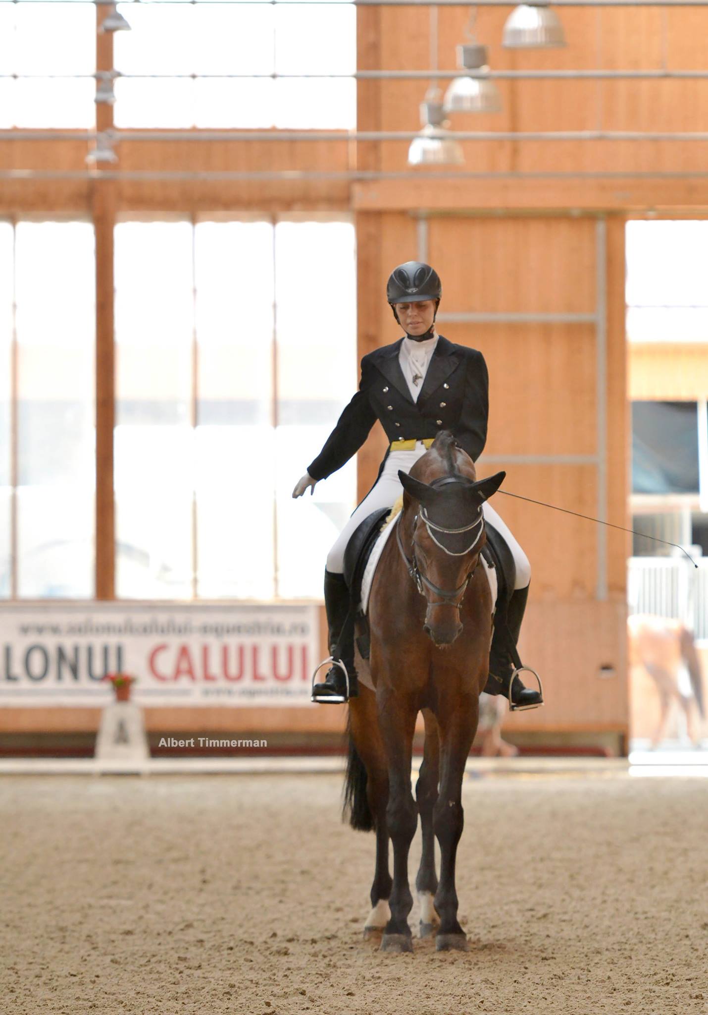 Ev. Clubul Equestria